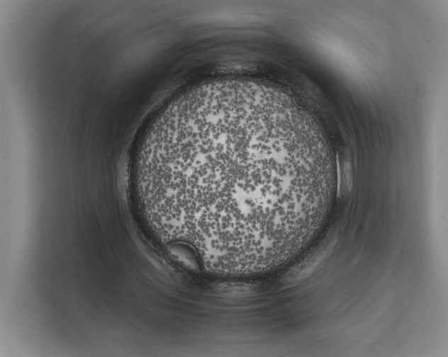 X0000111150435200907141344