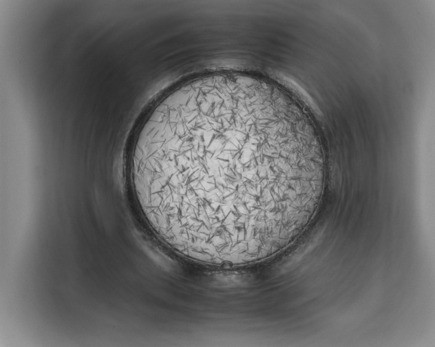 X0000111150439200907141344