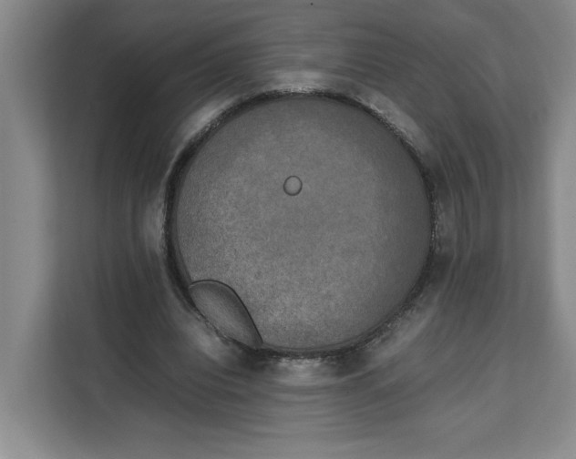 X0000111150440200907141344