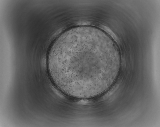 X0000111150441200907141344