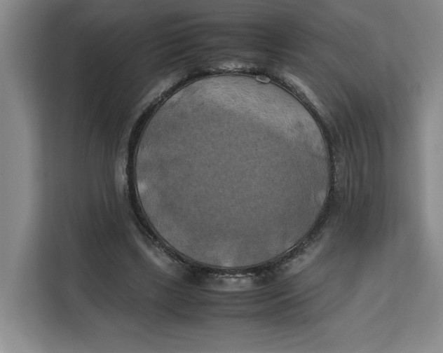 X0000111150443200907141344