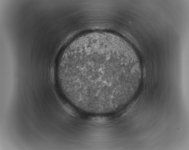 X0000111150444200907141344
