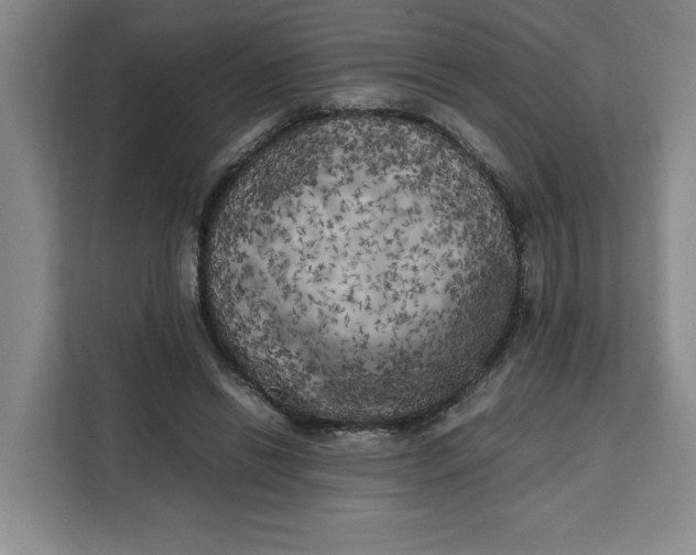 X0000111150446200907141344