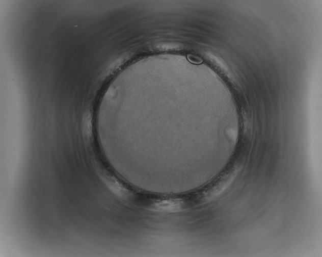 X0000111150447200907141344