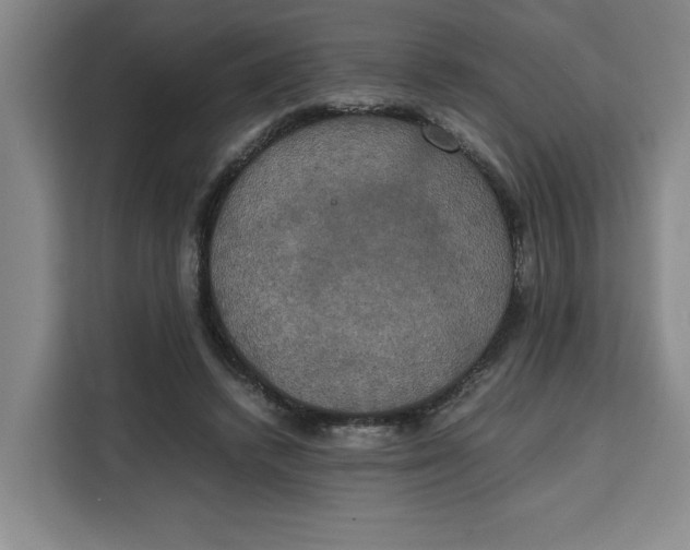 X0000111150448200907141345
