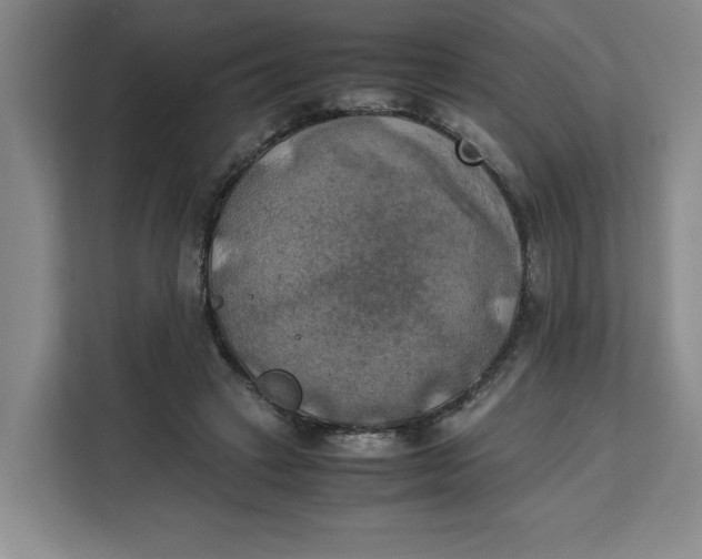 X0000111150449200907141345