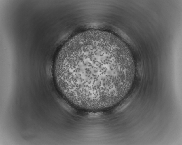 X0000111150450200907141345