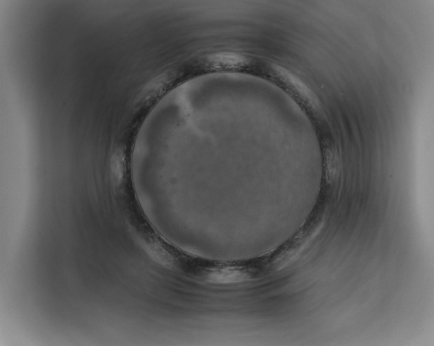 X0000111150451200907141345