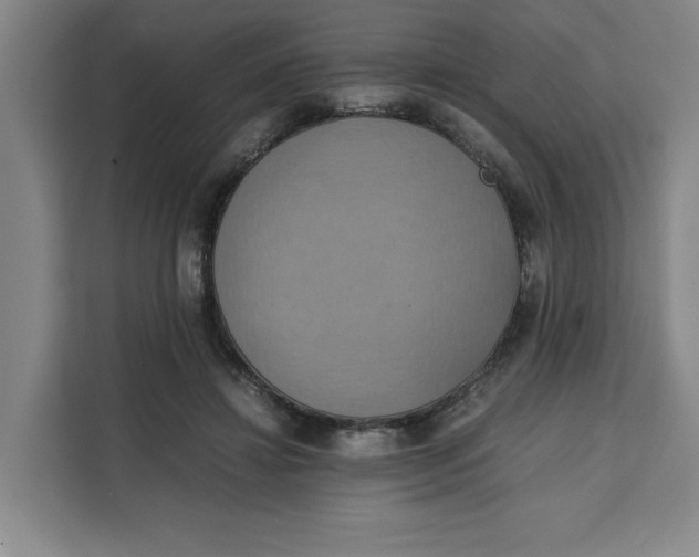 X0000111150452200907141345