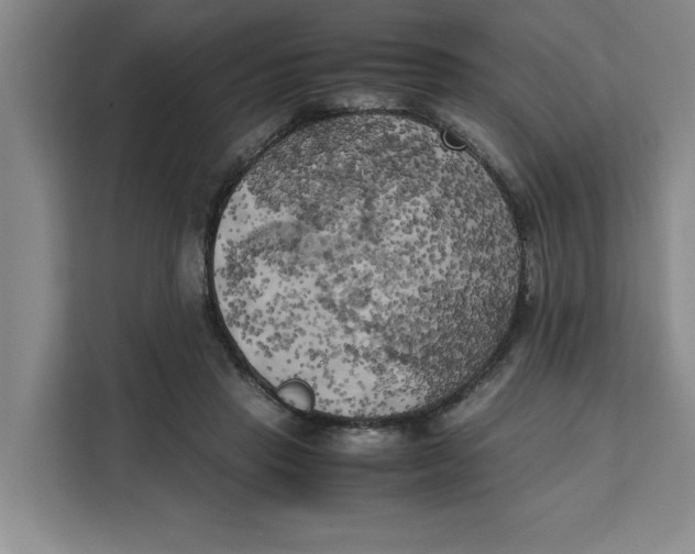 X0000111150453200907141345