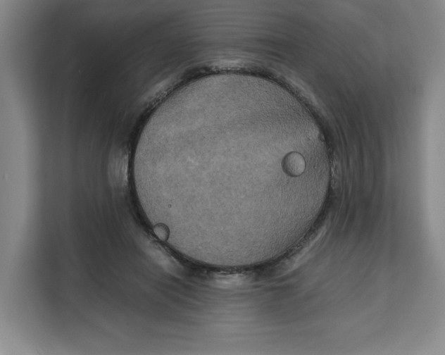 X0000111150454200907141345