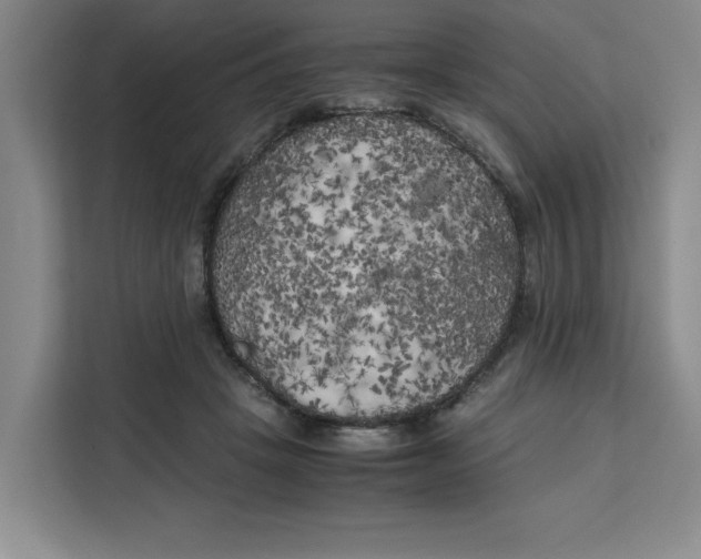 X0000111150457200907141345
