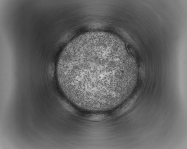 X0000111150458200907141345