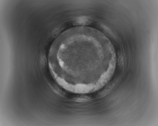 X0000111150459200907141345