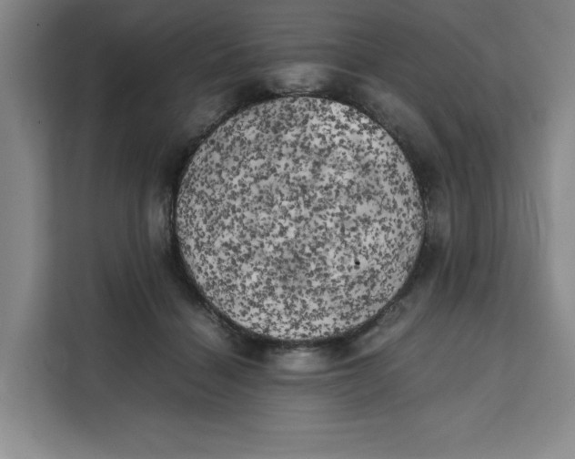 X0000111150460200907141345