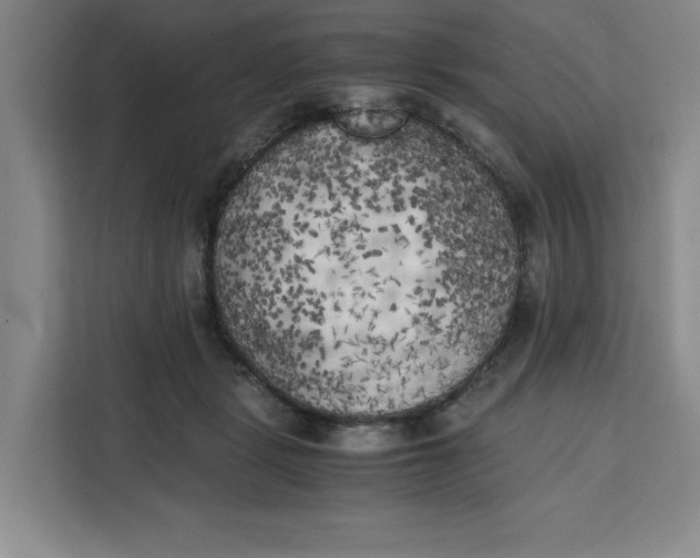 X0000111150461200907141345