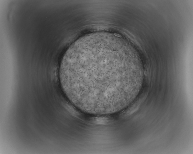 X0000111150462200907141345