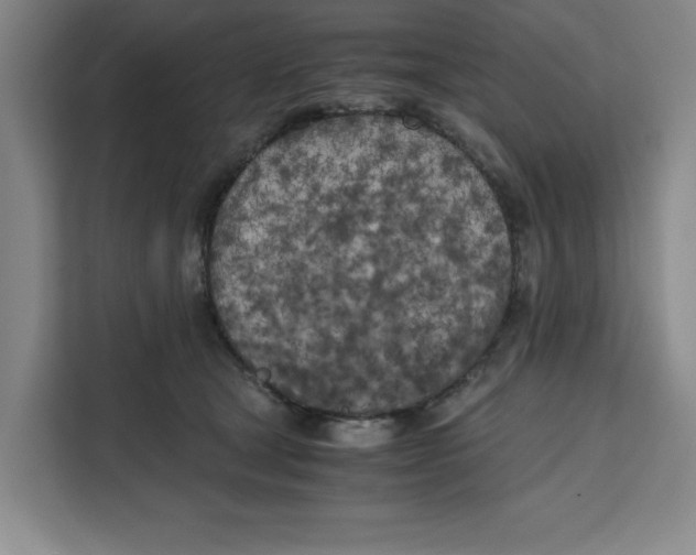 X0000111150465200907141345