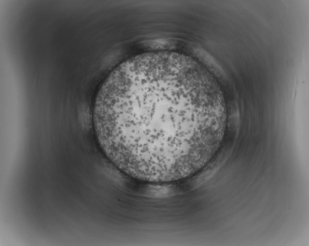 X0000111150469200907141345