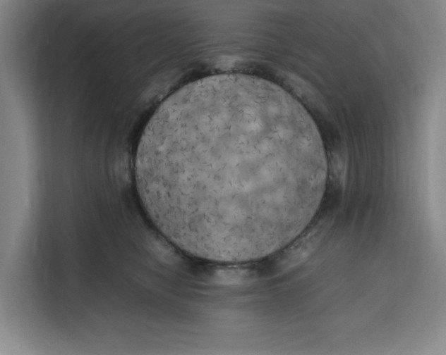 X0000111150470200907141345