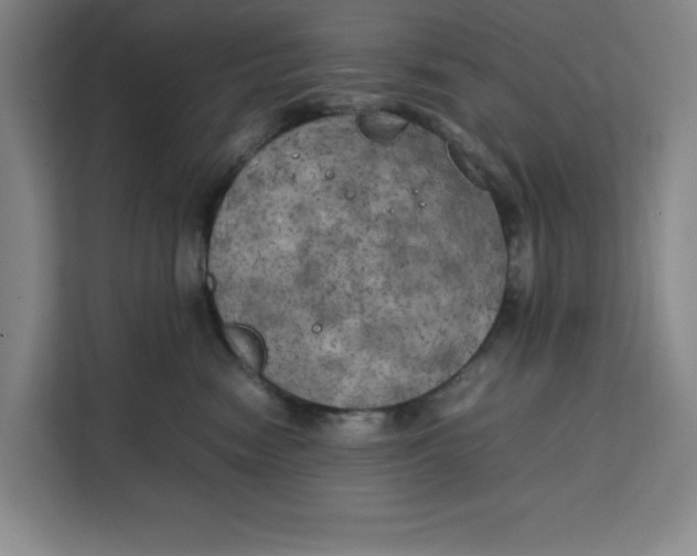 X0000111150474200907141345