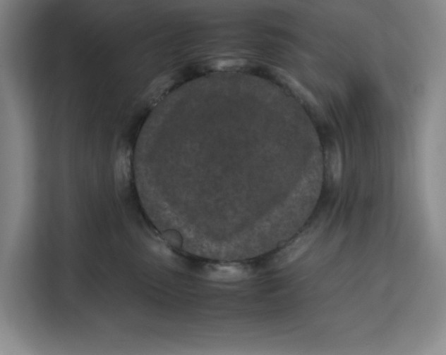 X0000111150475200907141345