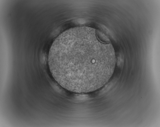 X0000111150476200907141345