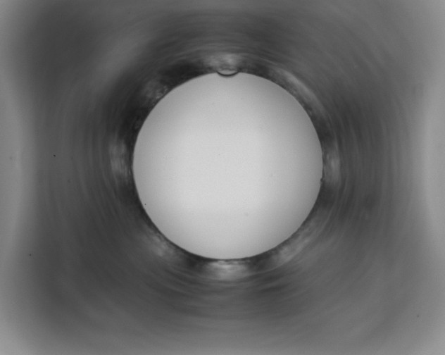 X0000111150477200907141345