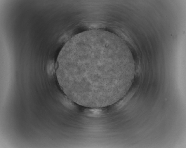 X0000111150478200907141345