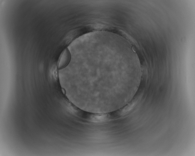 X0000111150479200907141345