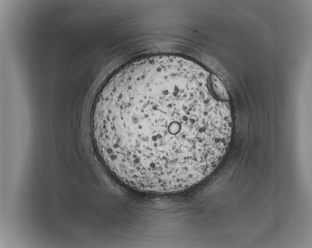 X0000111150481200907141344