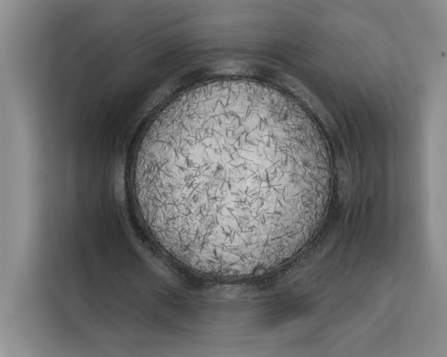 X0000111150482200907141344