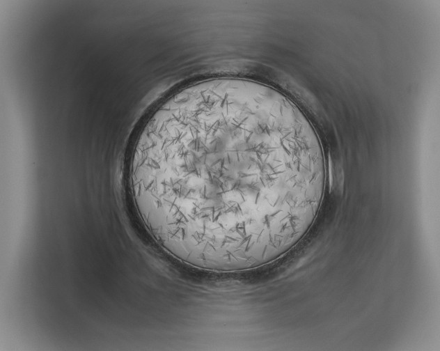 X0000111150483200907141344