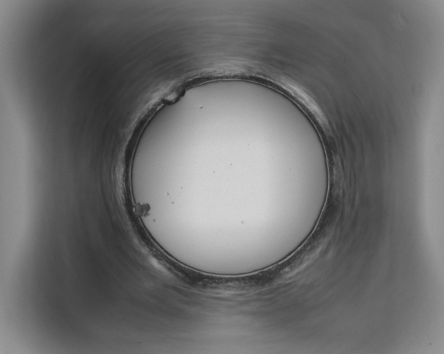 X0000111150485200907141344