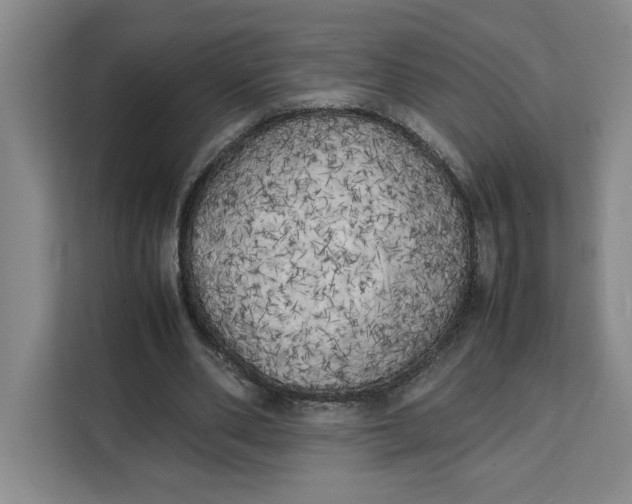 X0000111150486200907141344
