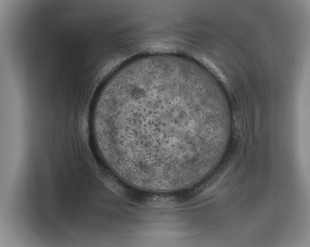 X0000111150487200907141344