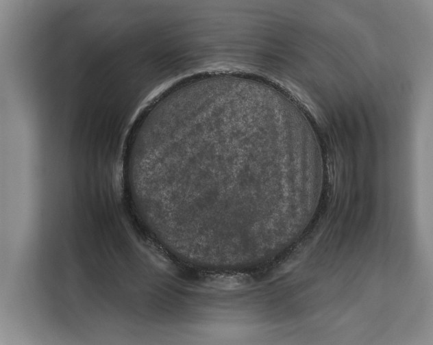 X0000111150488200907141344