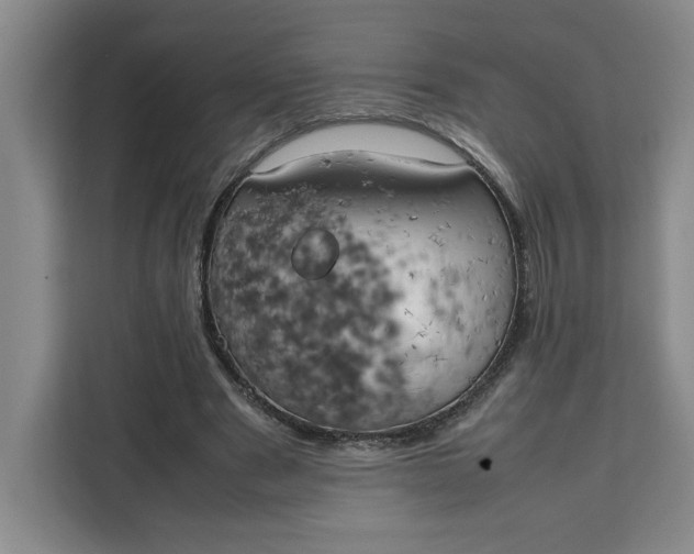 X0000111150489200907141344