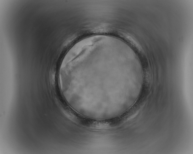 X0000111150491200907141344