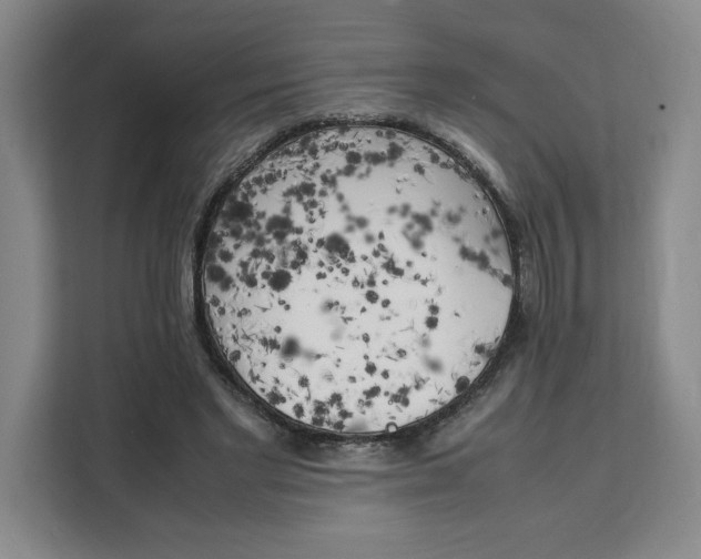 X0000111150493200907141344