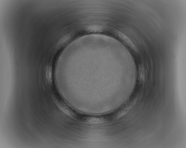X0000111150494200907141344