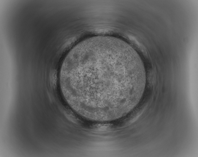X0000111150495200907141344