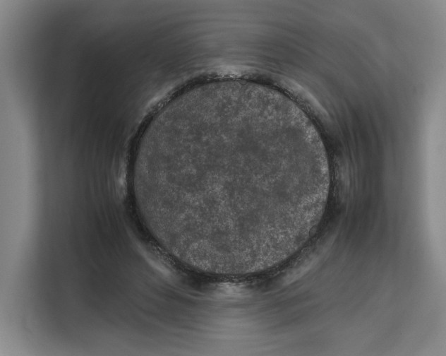 X0000111150496200907141344