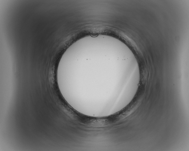 X0000111150497200907141344