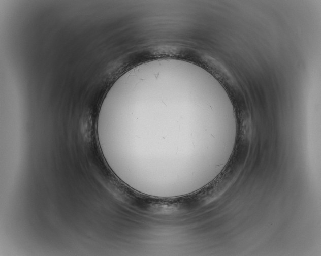 X0000111150498200907141344
