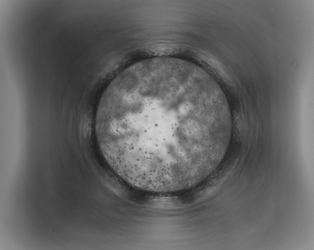 X0000111150499200907141344