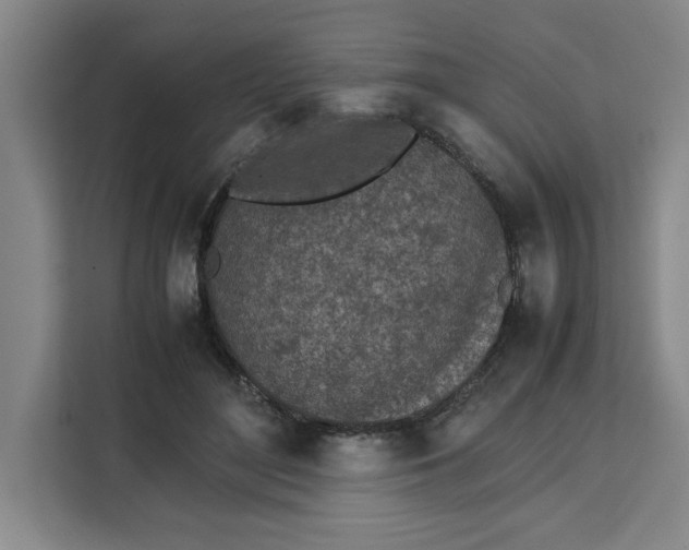 X0000111150500200907141344