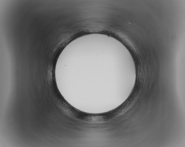 X0000111150501200907141344
