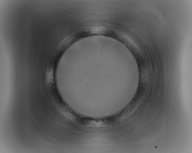 X0000111150502200907141344