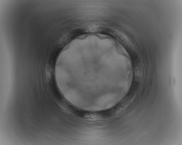 X0000111150503200907141344